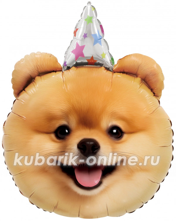 Фольгированная фигура "Собачка в колпачке"