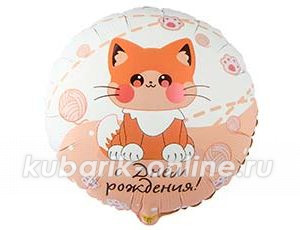 Фольгированный шар " ДР Котик усатый"